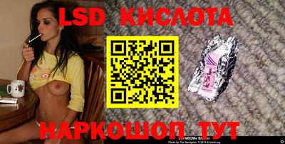 индика Бердск