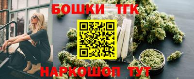 индика Бердск