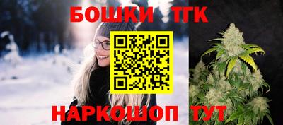 индика Бердск