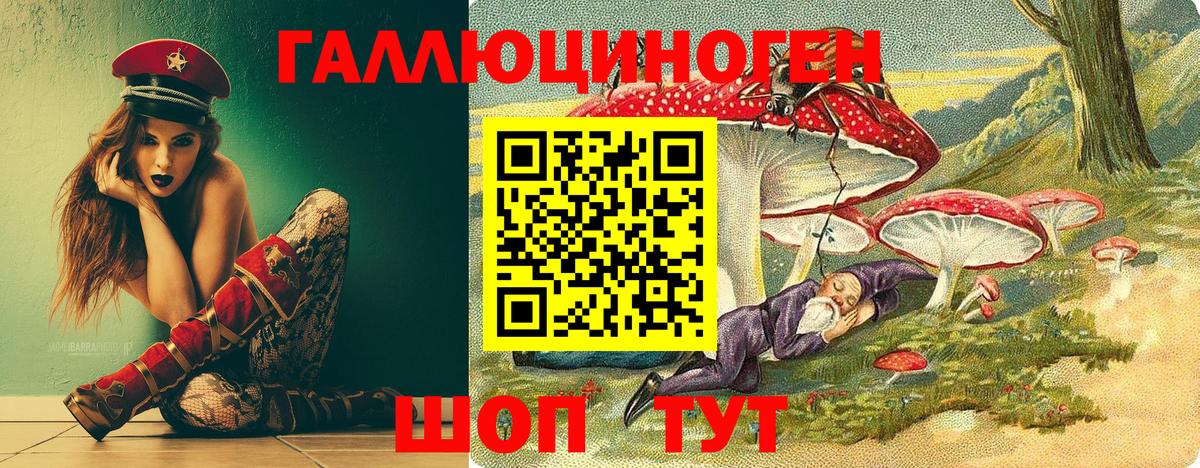 Гай  Псилоцибиновые грибы Psilocybine cubensis  Вход с VPN 